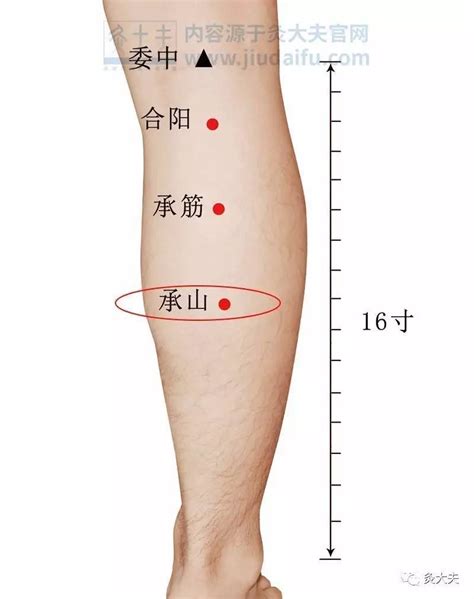 小腿肚有痣